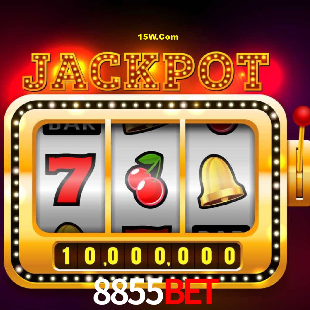 Experiência VIP 8855Bet